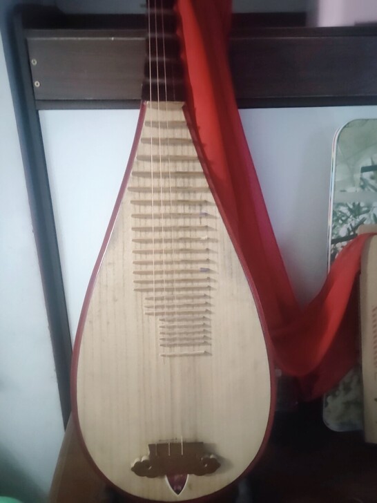 琵琶几乎全新低价出