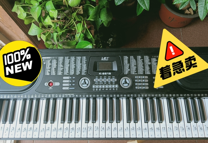 初学者入门61键电子琴，随带的电源充电线、...