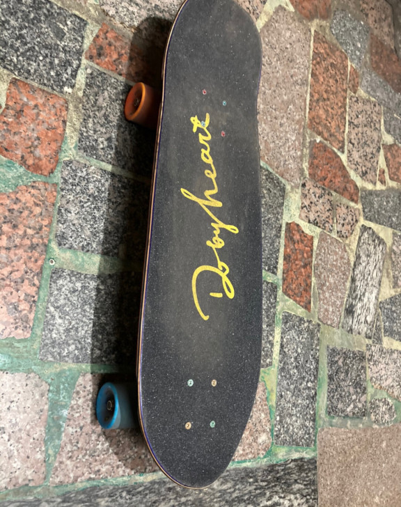 DBH滑板专业四轮大鱼板成人青少年初学者公...