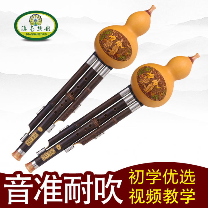 滇南丝韵葫芦丝乐器初学C调降B调小学生儿童...