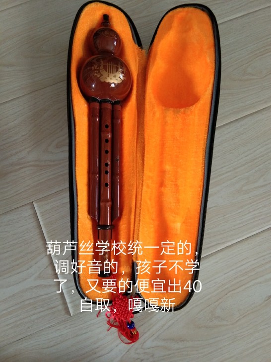 葫芦丝，学校统一定的，音都是老师调好的，孩...