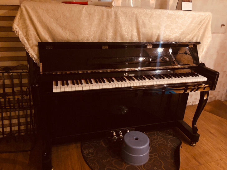 处理 一手新琴维也纳钢琴 用了4年 九成新...