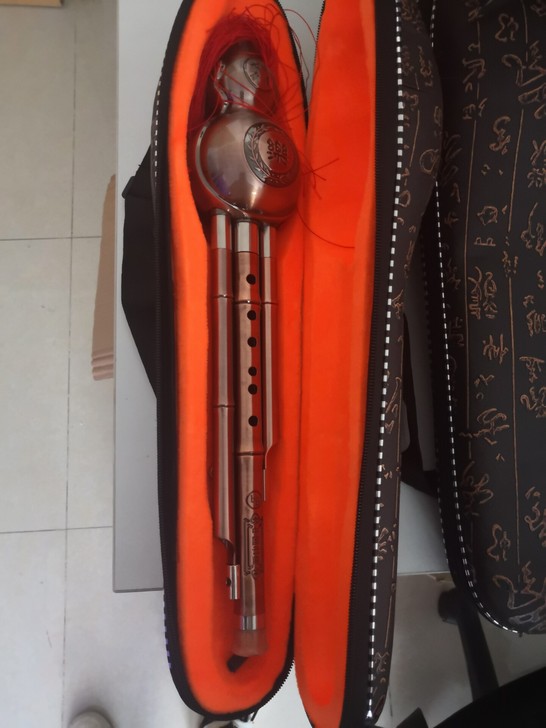 出一批葫芦丝，一共20个，如图所示