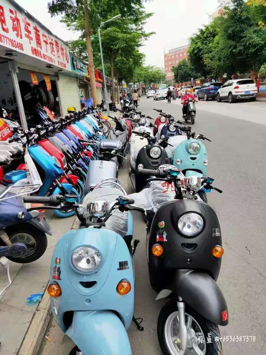 全新国标电动车