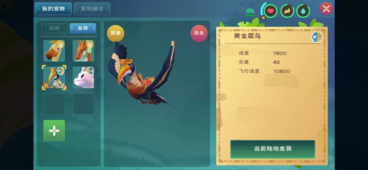 创造与魔法黄金犀鸟代肝