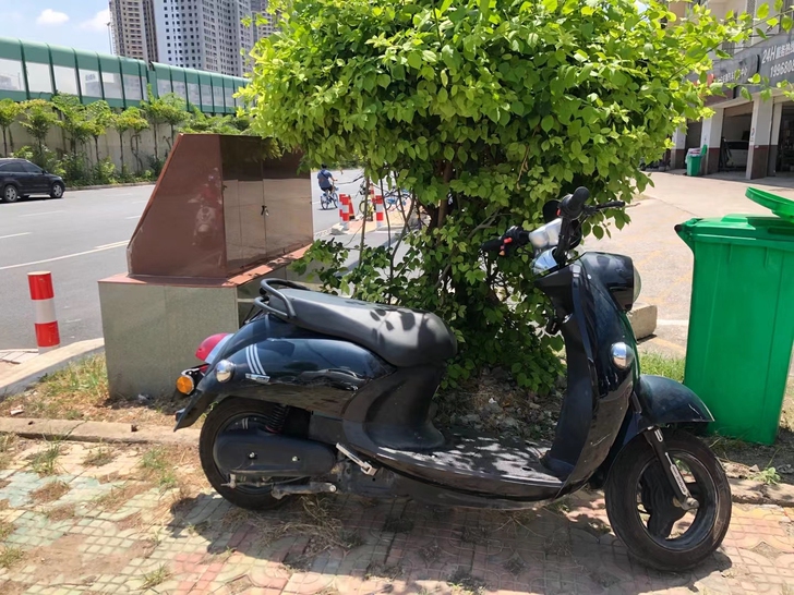 【小刀电动车】