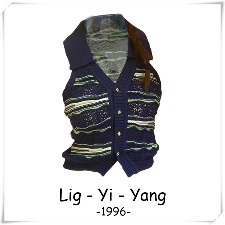 DoggyQin中古背心/V领针织翻领背心...