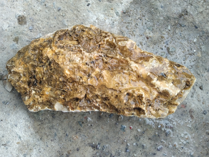 端砚全新