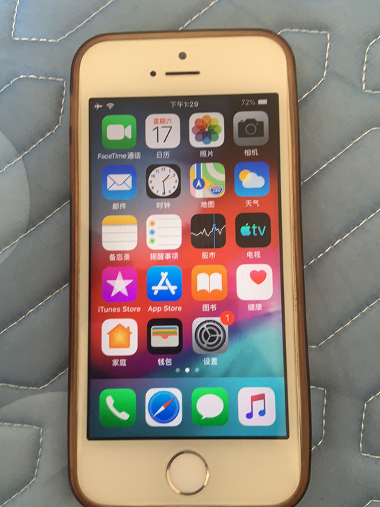 iPhone 5s  16g
