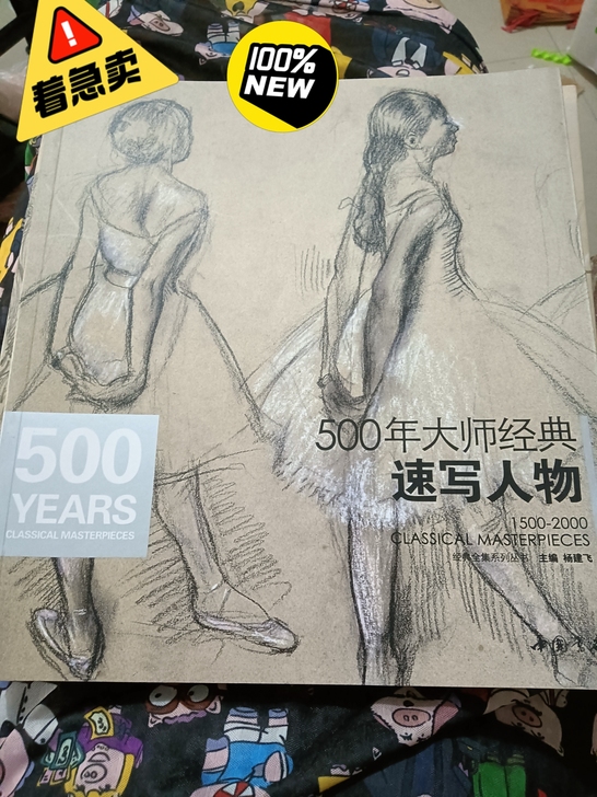 500年大师经典速写作品集,百分百新,内容...