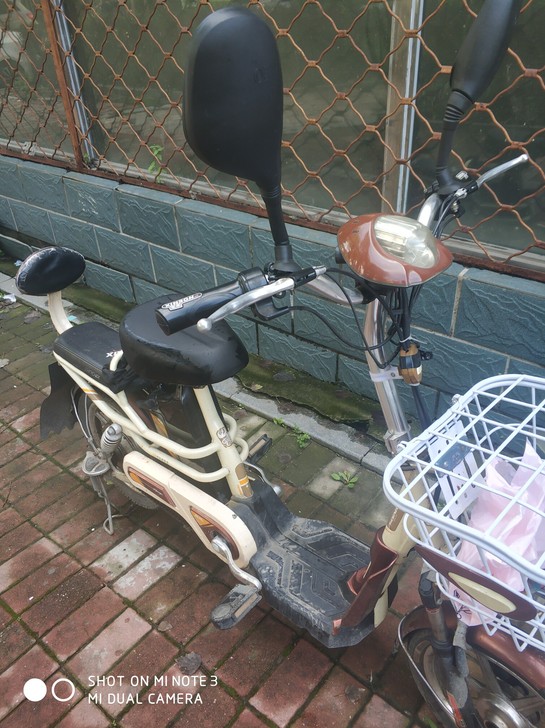 中国名牌凤凰牌电动车，48V，20A，国标...