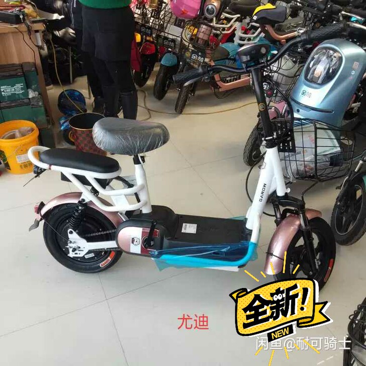 新日,金箭,赛鸽电动车,新国标可下户,低至...