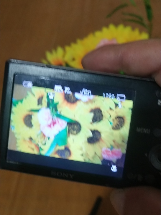 索尼。DSC一W190功能正常。有电池储存...