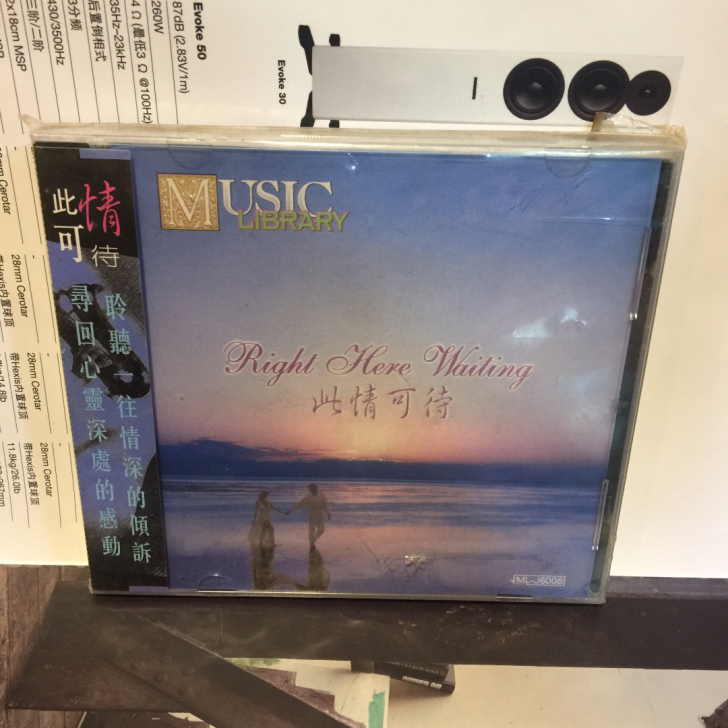 此情可待 纯音乐 正大雨果音乐 1CD
