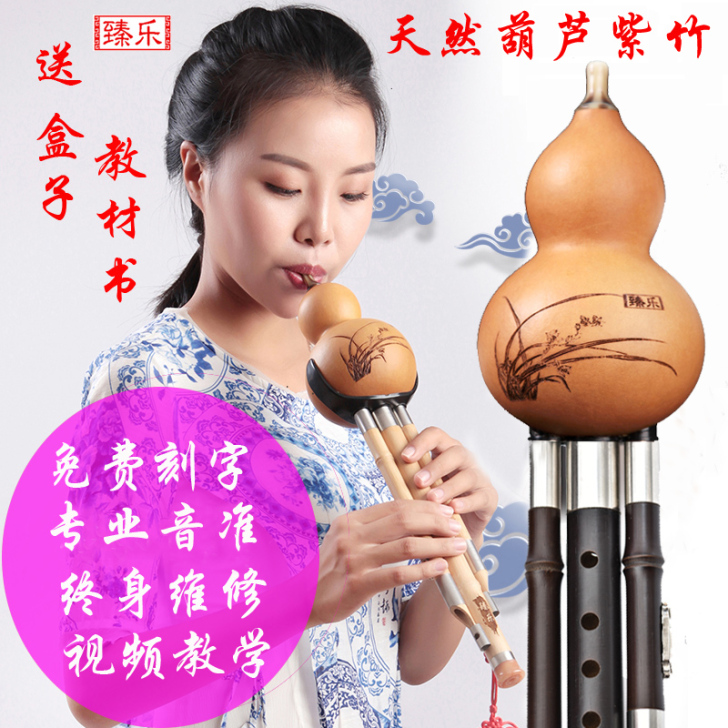 葫芦丝乐器初学者防摔c调小学生入门成人降b...