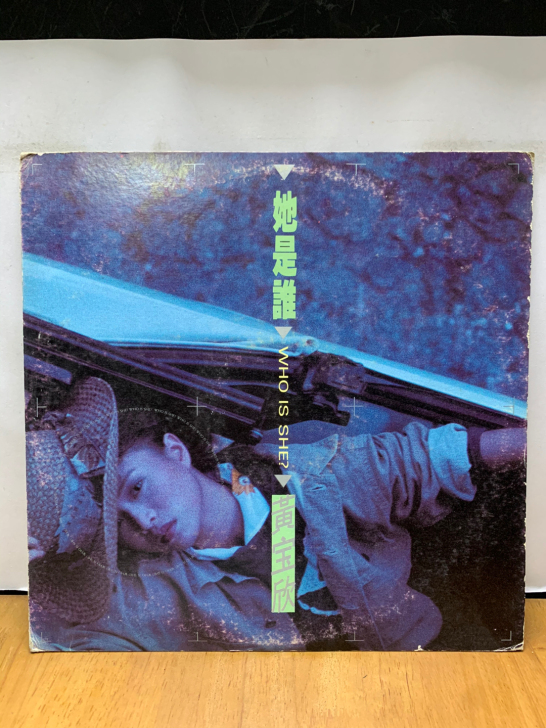 黄宝欣 她是谁lp 碟面88新 有擦划痕和...