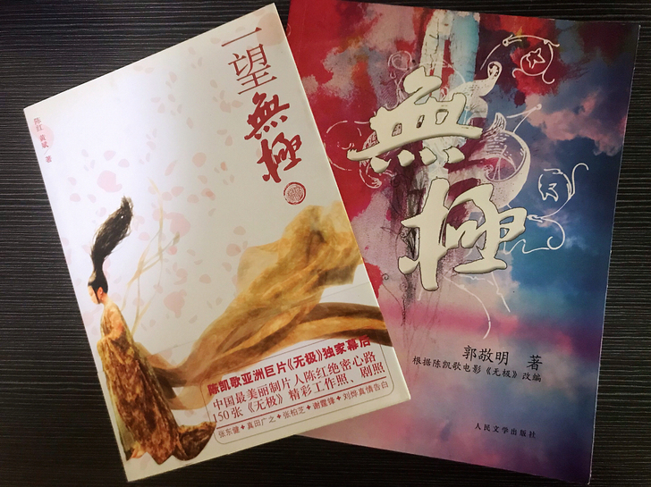 《无极》郭敬明著，《一望无极》陈红 黄斌著。