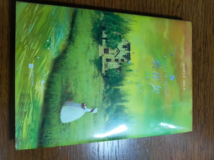 出图书茶花女，买多了，实在用不到，全新未拆...