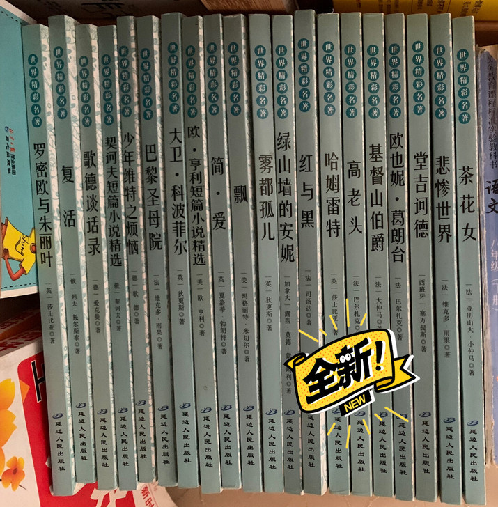 中小学必看世界名著（复活/巴黎圣母院/简爱...