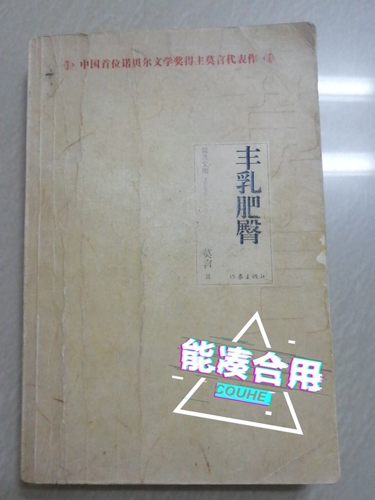 莫言的《丰乳肥臀》