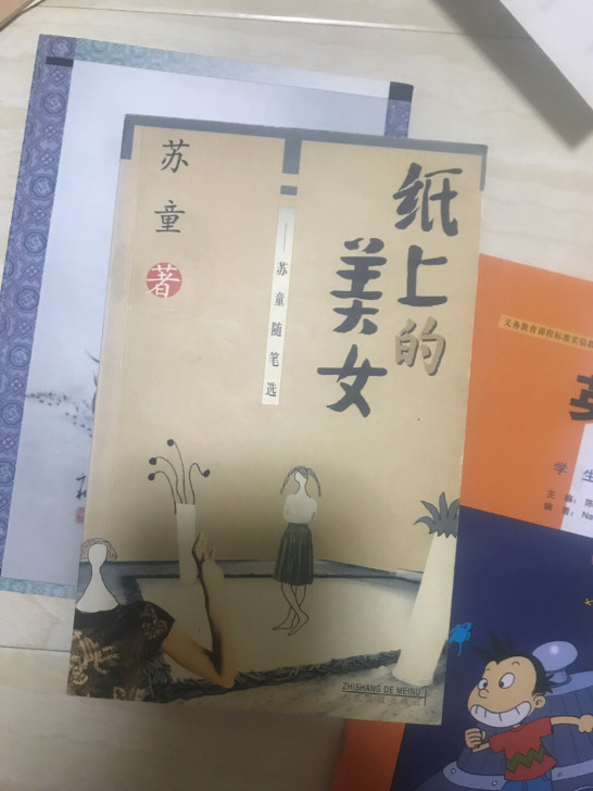 二手书《纸上的美女》