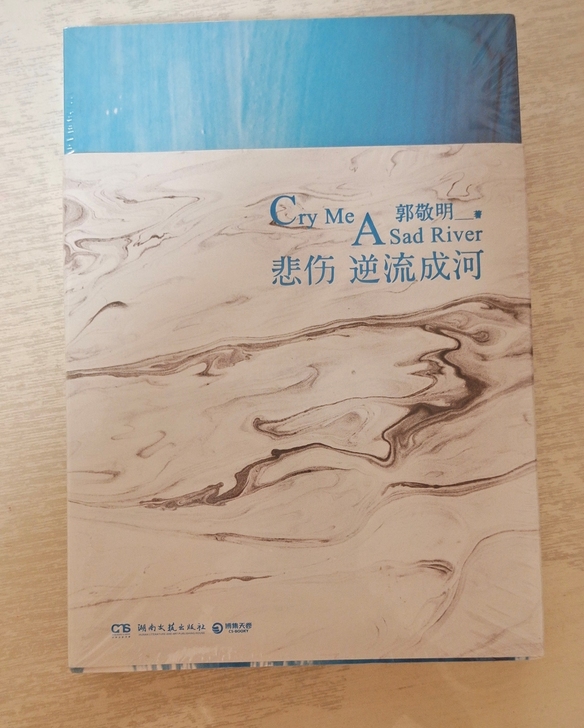 《悲伤逆流成河》郭敬明作品