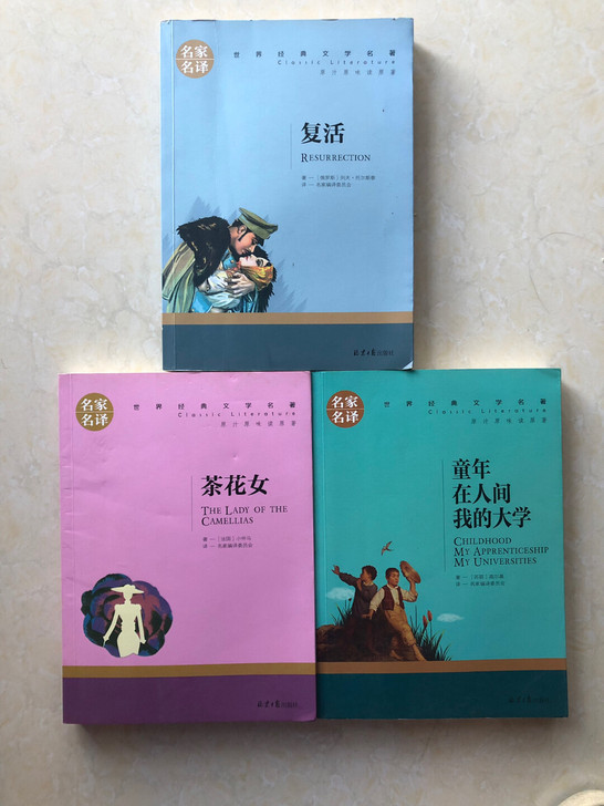 世界文学名著，复活（列夫托尔斯泰），茶花女...