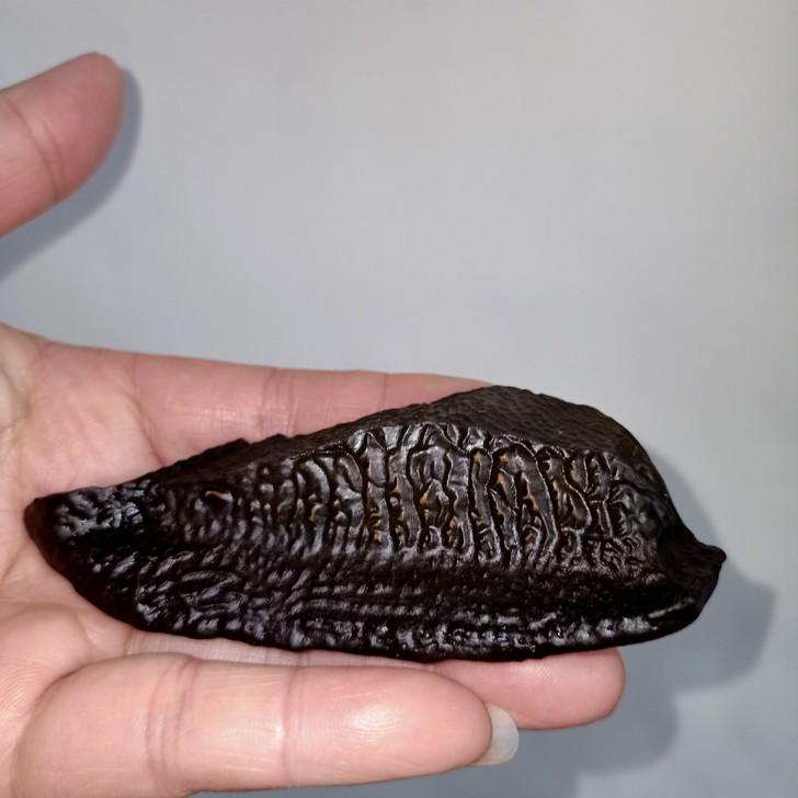 泥纹石