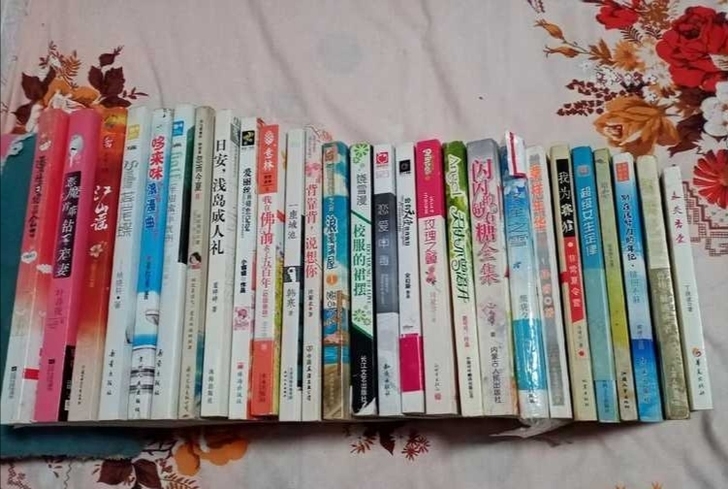 闲置书 青春小说 伤痛小说 校园小说