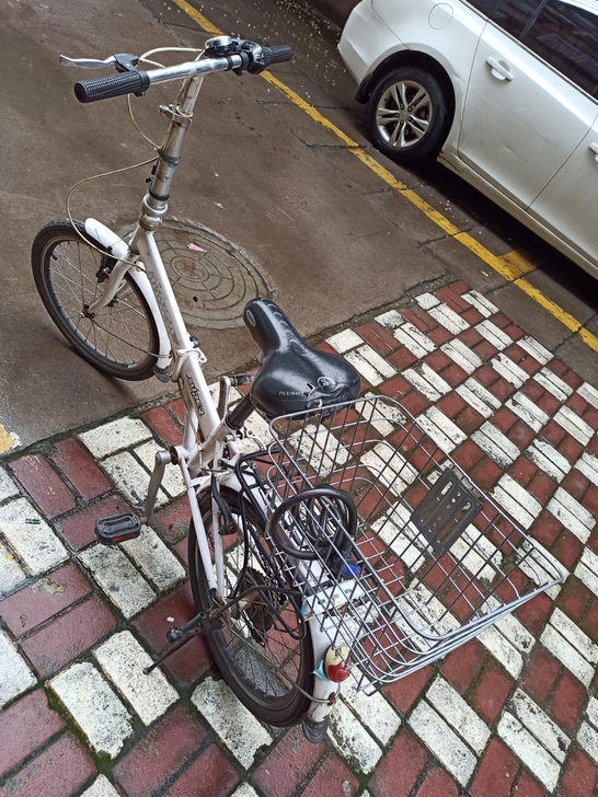 安琪儿品牌20寸，变速折叠白色自行车，骑了...