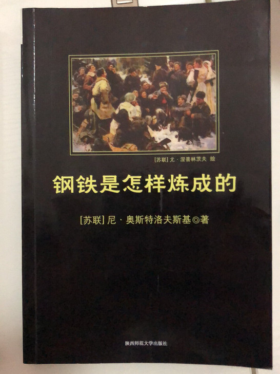 钢铁是怎样炼成的 昆虫记 不老泉
