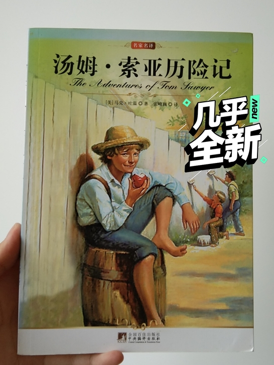 闲置书 八九成新