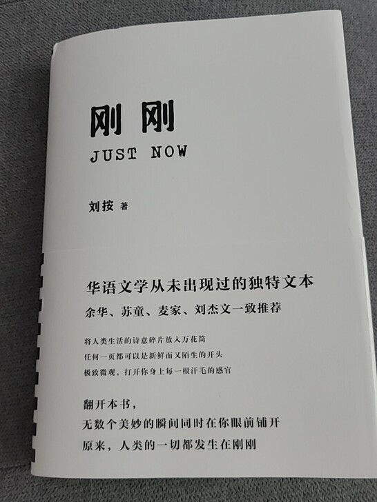 《刚刚》刘按著 包邮