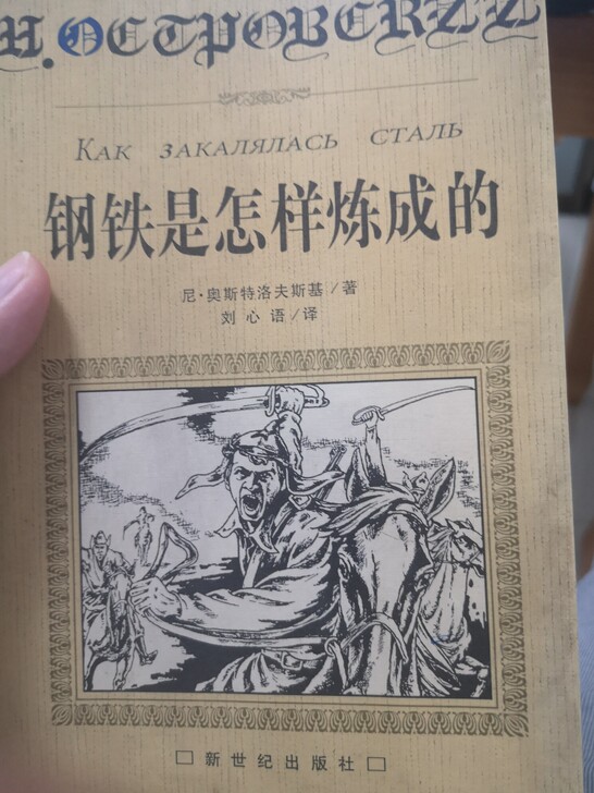 钢铁是怎样炼成的，好多年了，旧书品如图，二...
