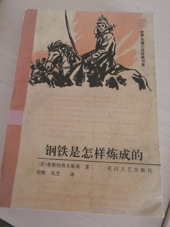 文学小说《钢铁是怎样炼成的》
