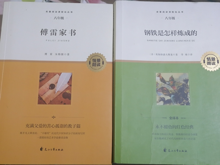 傅雷家书+钢铁是怎样炼成的原著正版初中八年...