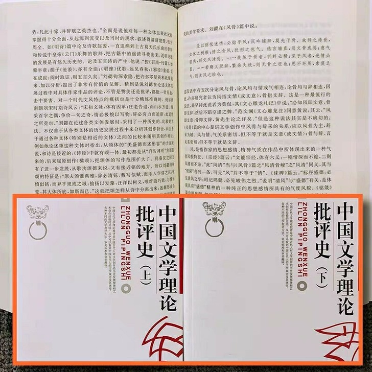 中国文学理论批评史  上册+下册 套装 张...