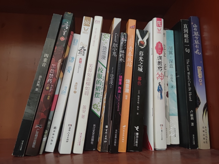 【仅拆未读】二手书 《遗爱》《盗墓笔记画册...