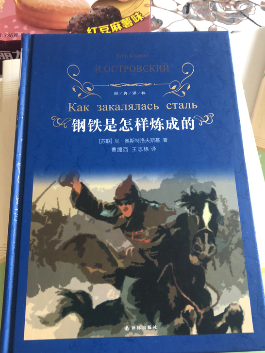 出 钢铁是怎样炼成的  傅雷家书  苏菲的...