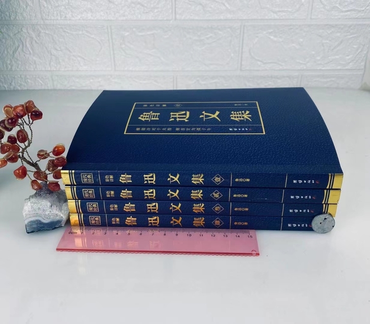 鲁迅文定集价(4册) 全新未拆封