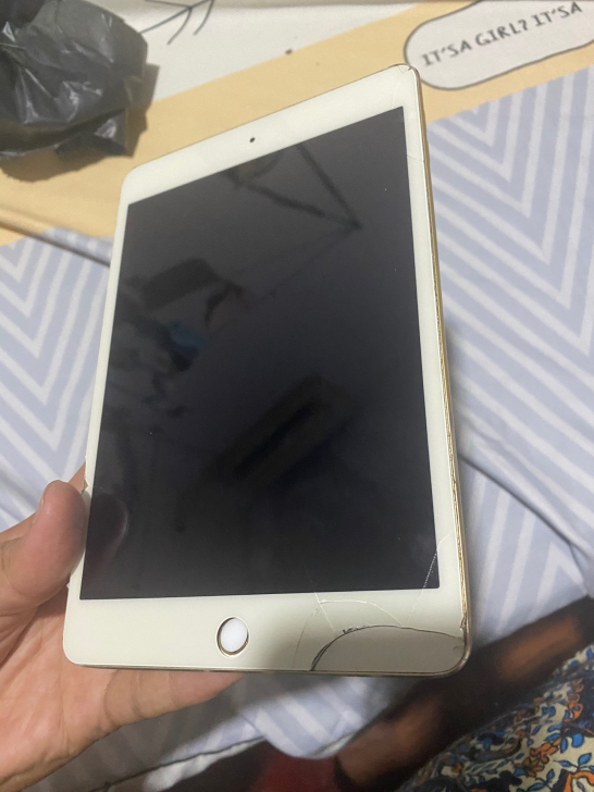 iPad mini4 64g 尸体机