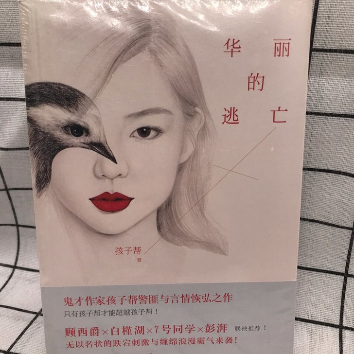 华丽的逃亡 侦探推理畅销小说