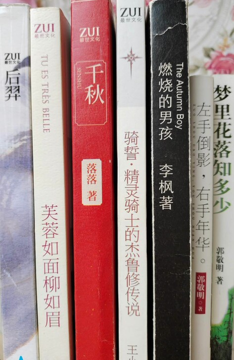 郭敬明叶兆言笛安落落吴忠全李枫王小立最世文化