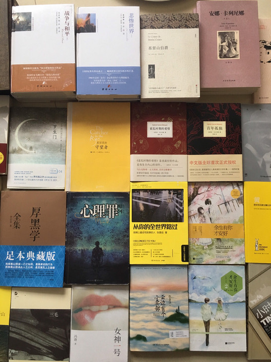 百年孤独 战争与和平 人间失格 解忧杂货店...