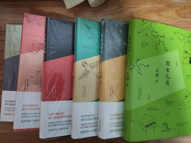 王朔全集六册全新未拆封