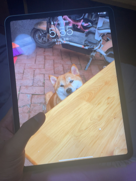 ipadpro2021,上个月购于某东,国...