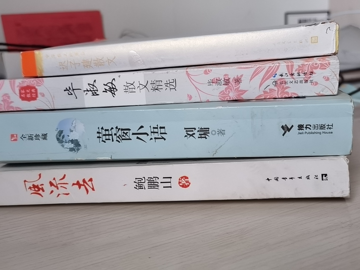 《萤窗小语》《风流去》《毕淑敏散文集》《迟...