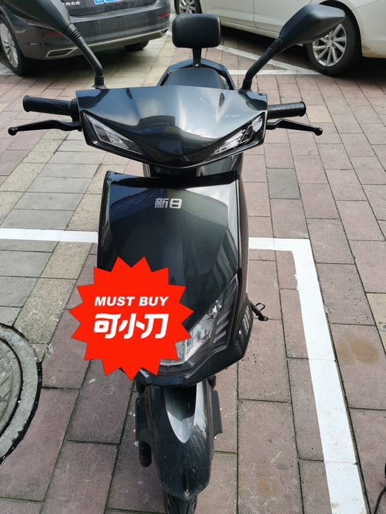 个人骑电动车，两个半月，新日飞豹系列，两把...