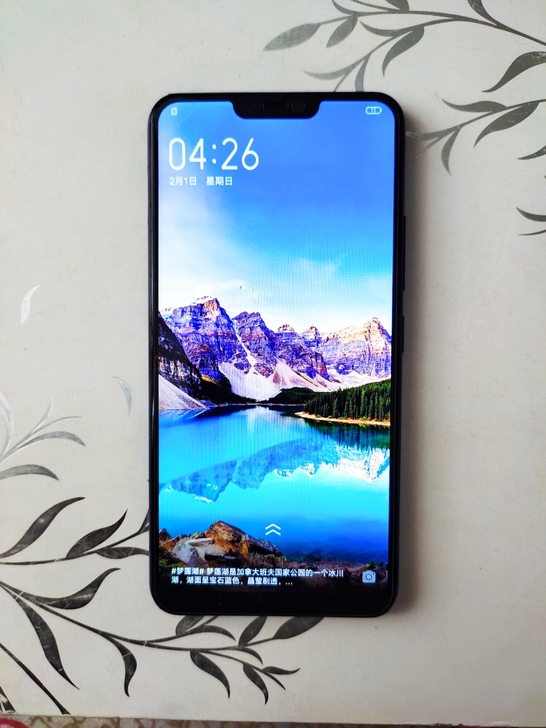 vivoz1