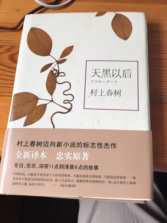 村上春树 天黑以后